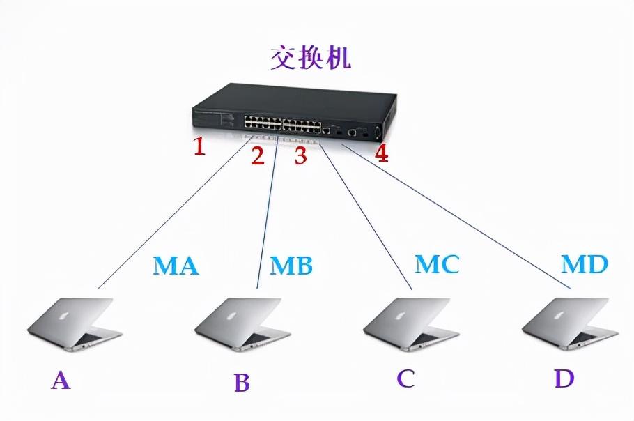 印章制作与电子印章软件的转变，从传统到现代的发展之路