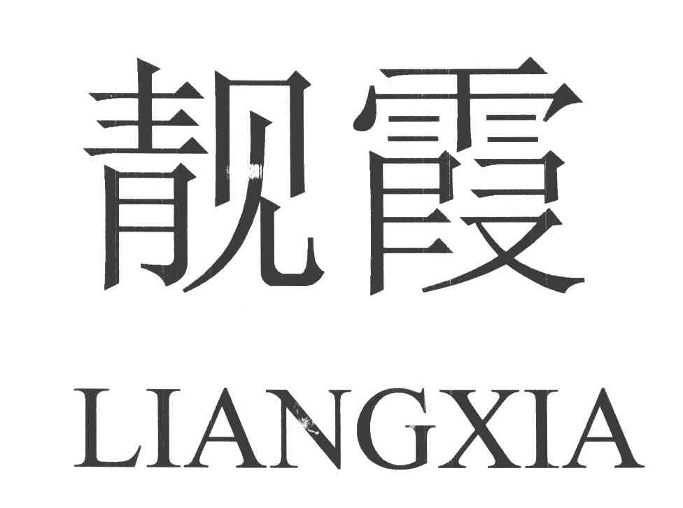 伪造公司印章罪详解，法律解读与指南